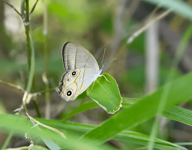 Australia's Environment Report