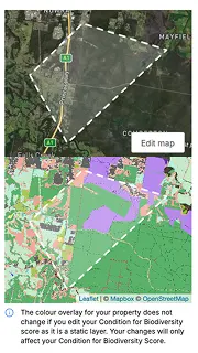 Background Satellite Image